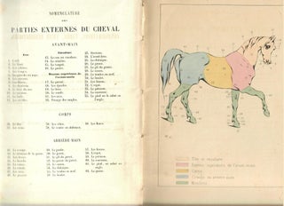 Item #16399 Conformations, Tares, Vices Redhibitoires [from A B C du Sportsman]. Honore Pinel