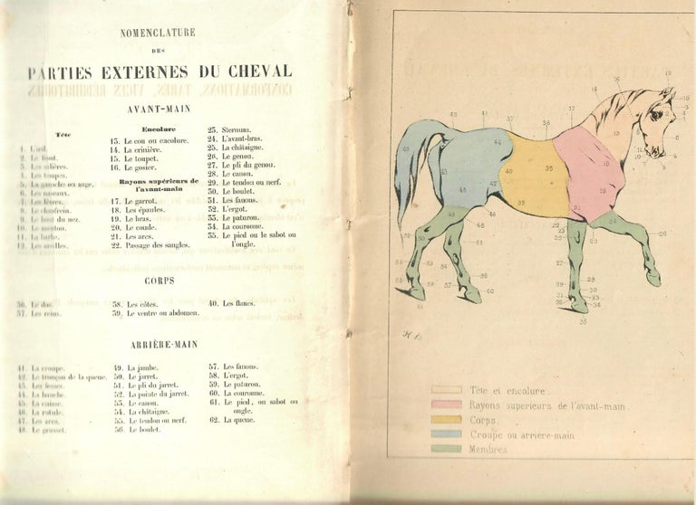 Item #16399 Conformations, Tares, Vices Redhibitoires [from A B C du Sportsman]. Honore Pinel.