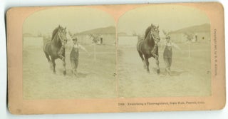 Item #16958 Exercising a Thoroughbred, State Fair, Pueblo, Colorado [1907 stereo card]. B. W....
