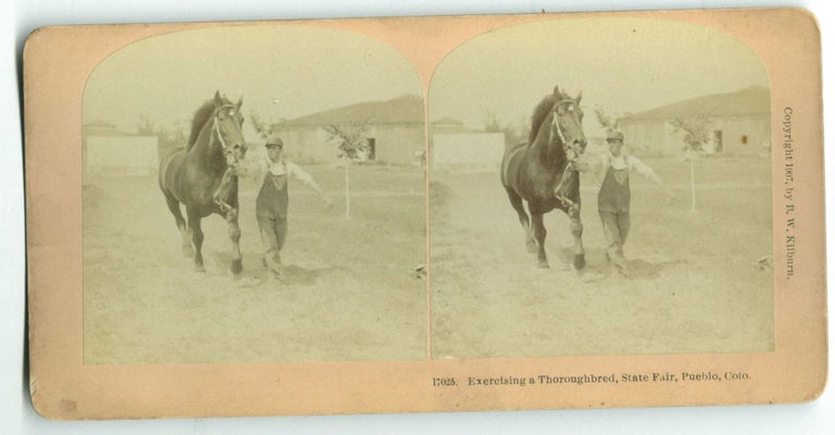 Item #16958 Exercising a Thoroughbred, State Fair, Pueblo, Colorado [1907 stereo card]. B. W. Kilburn, publisher.