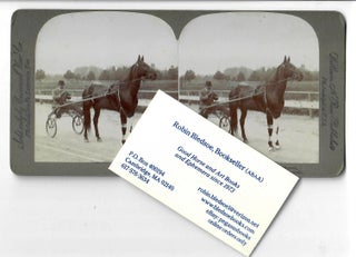 Item #16989 Prince Alert, a King among Light Harness Horses [1903 stereo card]. William H. Rau,...