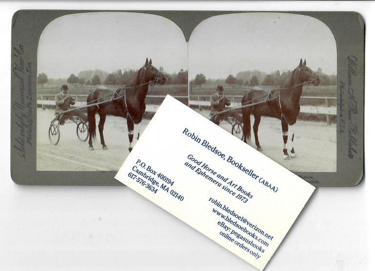Item #16989 Prince Alert, a King among Light Harness Horses [1903 stereo card]. William H. Rau, stereo card publisher.