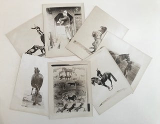 [Fratelli Riccobono photographs] AND The Riccobono Brothers and Their Famous Trained School Horses