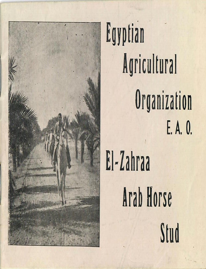 Item #30011 El-Zahraa Arab Horse Stud. Egyptian Agricultural Organization, E A. O.