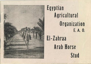 Item #30011 El-Zahraa Arab Horse Stud. Egyptian Agricultural Organization, E A. O