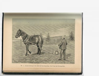 The Horse's Friend; A Manual for Training the Horse and Keeping Him Healthy