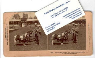 Item #30249 Shetland Ponies at Louisiana Purchase Exposition. B. W. Kilburn, stereoview photographer