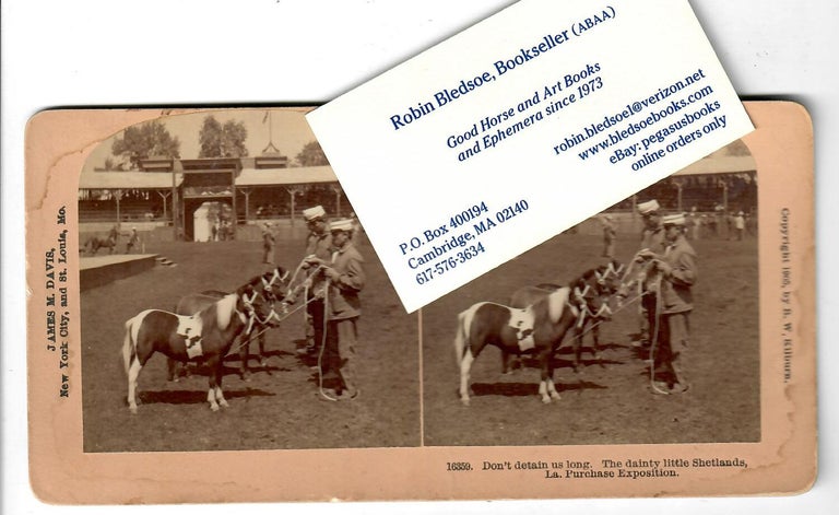 Item #30249 Shetland Ponies at Louisiana Purchase Exposition. B. W. Kilburn, stereoview photographer.