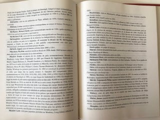 Diccionario de Polo; Prolegomenos para una Historia del Juego de Polo