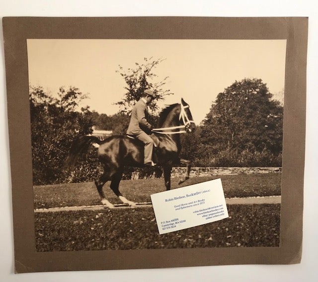 Item #30780 Two Large Photographs of a Performing or Trick Horse. Anonymous.