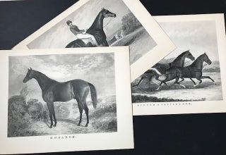 Item #30809 The American Sporting Gallery; Portraits of Horses from Spirit of the Times...