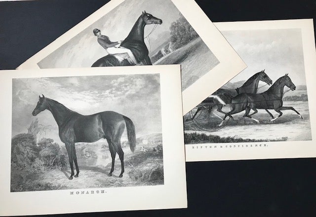Item #30809 The American Sporting Gallery; Portraits of Horses from Spirit of the Times 1839-1844. Carvel Collins.