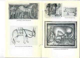 English Rural Life in the Middle Ages