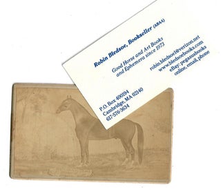 Item #31127 Carte-de-Visite of Trotting Horse Greenbacks 2480. C. W. Van Slyke, photographer