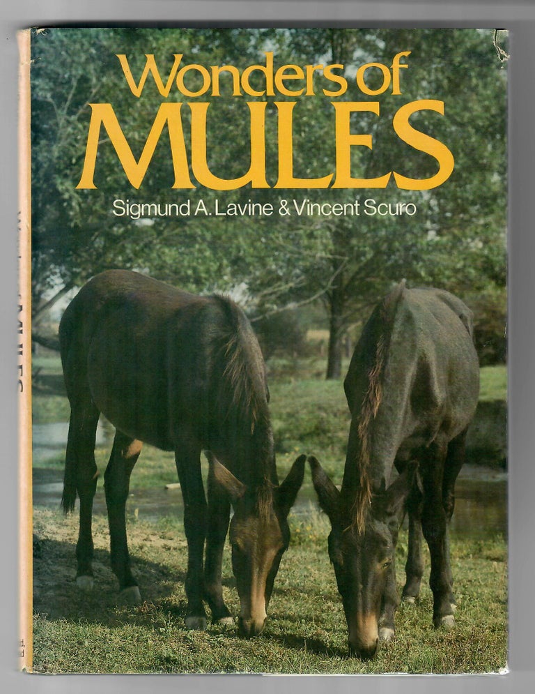 Item #31135 Wonders of Mules. Sigmund A. Lavine, Vincent Scuro.