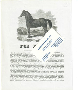 Item #31191 Fox Hunter; "The above cut is a good representation of the Black Hawk Stallion,...
