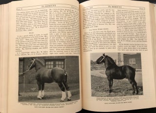 The Remount: 1925-1928; Journal of The American Remount Association