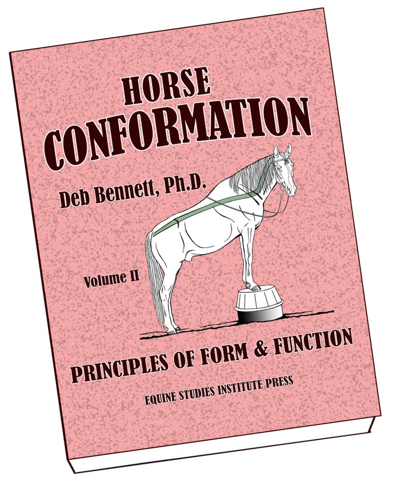 Item #31271 Horse Conformation: Principles of Form and Function: Vol. 2; Head, Neck, Back, and Teeth. Deb Bennett.