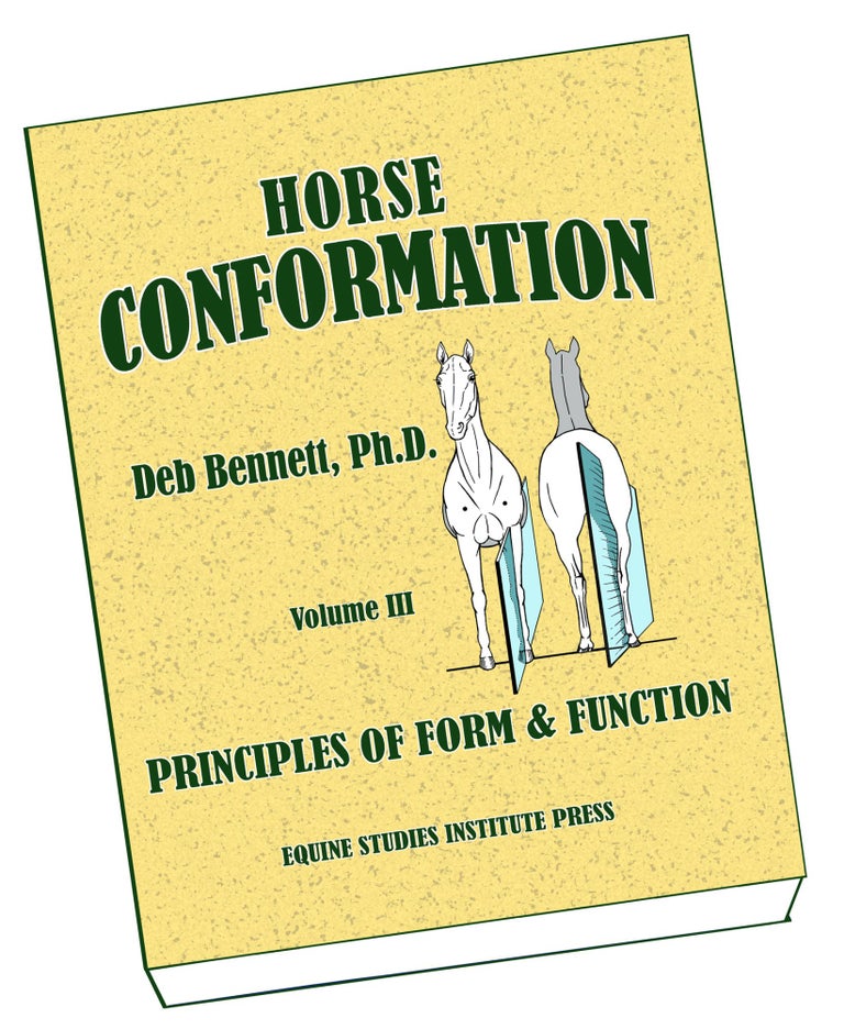 Item #31272 Horse Conformation: Principles of Form and Function: Vol. 3; Forelimbs, Hind Limbs, and Hoofs. Deb Bennett.