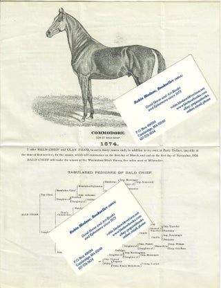 Item #31286 Advertising Flyer for Stallions Bald Chief and Clay Pilot. authors