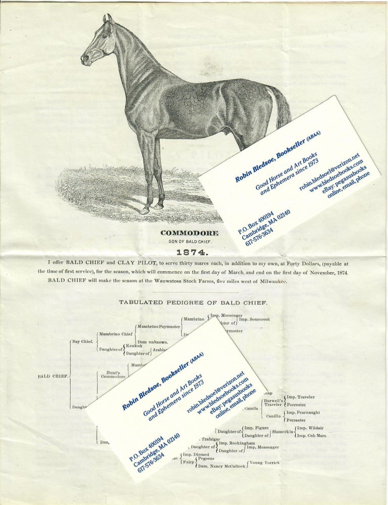 Item #31286 Advertising Flyer for Stallions Bald Chief and Clay Pilot. authors.