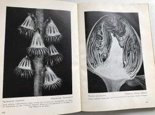 Die Pflanze als Lebewesen; Eine Biographie in 200 Aufnahmen