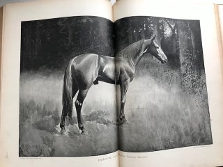 The Horseman: volume 13 (July 6-December 28, 1893); An Illustrated Journal, Devoted to the Interests of the Horse, his Owner and his Friends