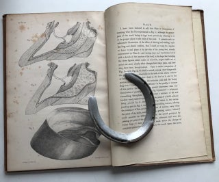 The Horse's Foot, and How to Keep It Sound