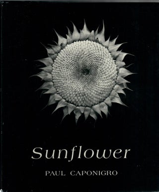 Item #31788 Sunflower. Paul Caponigro