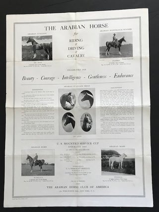 Item #31823 The Arabian Horse for Riding & Driving & Cavalry; Celebrated for Beauty -...