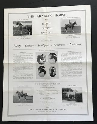 Item #31823 The Arabian Horse for Riding & Driving & Cavalry; Celebrated for Beauty - Courage -...