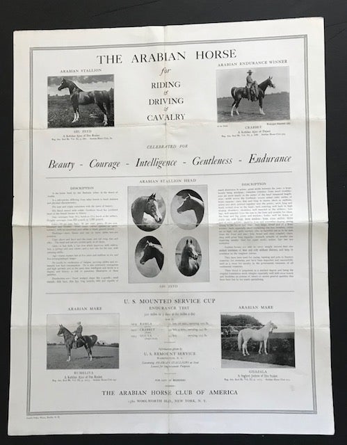 Item #31823 The Arabian Horse for Riding & Driving & Cavalry; Celebrated for Beauty - Courage - Intelligence - Gentleness - Endurance. No stated author.