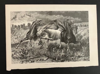 Item #32000 A Stampede of Wild Horses. W. M Cary