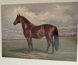 Item #32003 Harold. Henry Stull