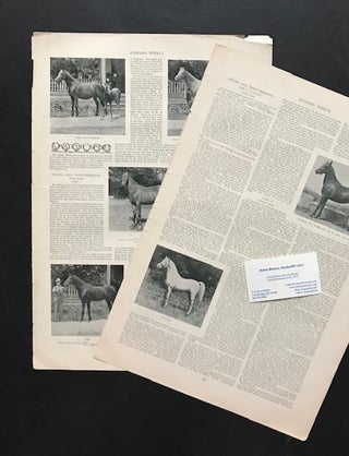 Item #32006 [Two Articles on Arabian Horses]. Spencer Borden