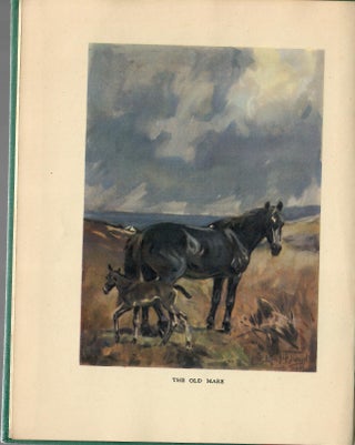 Tally Ho; The Story of an Irish Hunter