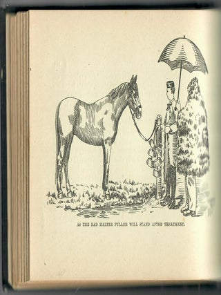 Jesse Beery's Practical System of Colt Training, and the Best Modes of Subduing Wild and Vicious Horses [etc.]