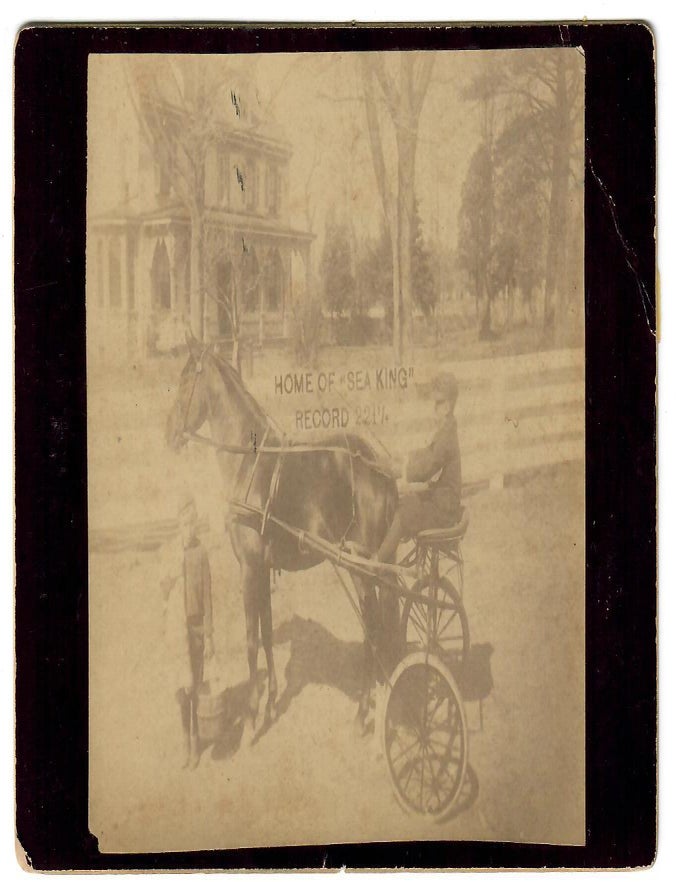 Item #32631 Sea King, 5779; Pony Champion Trotting Stallion, Driven by 11-Year-Old Boy. No stated phtographer.