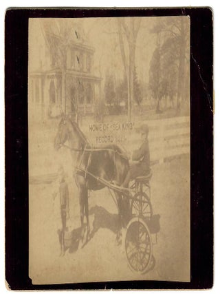 Item #32631 Sea King, 5779; Pony Champion Trotting Stallion, Driven by 11-Year-Old Boy. No stated...