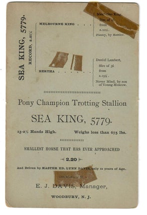 Sea King, 5779; Pony Champion Trotting Stallion, Driven by 11-Year-Old Boy