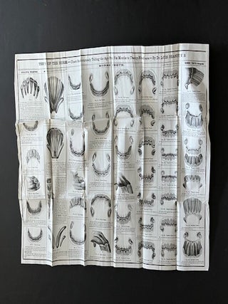 Item #32930 Teeth of the Horse; Chart for Accurately Telling the Age from Six Months to...