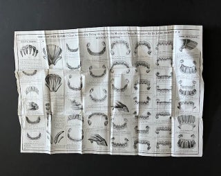 Item #32930 Teeth of the Horse; Chart for Accurately Telling the Age from Six Months to...