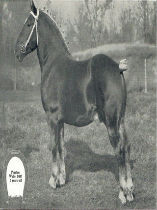 Making History with Horses; A Special Bulletin on Purebred Horses at the Michigan State College, with Suggestions on Horse Breeding and Management