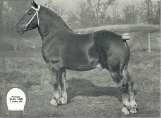 Making History with Horses; A Special Bulletin on Purebred Horses at the Michigan State College, with Suggestions on Horse Breeding and Management